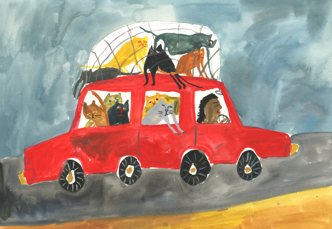 Car Cats | Giclee Art Print