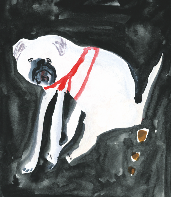 Pooing Dog | Giclee Art Print