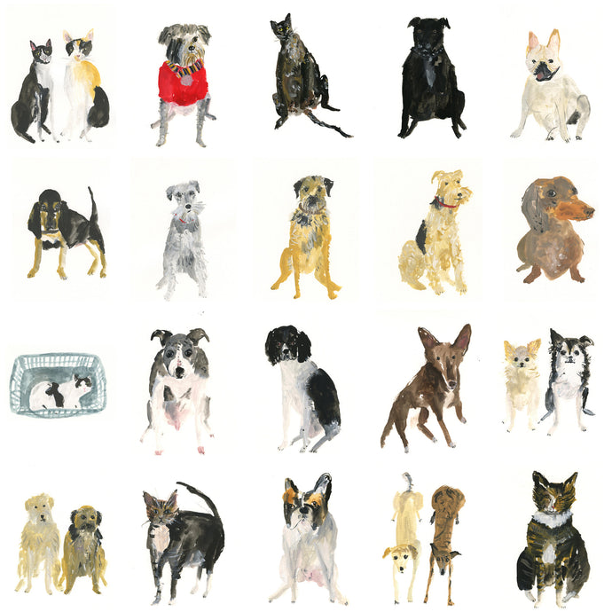 Custom Pet Portrait by Faye Moorhouse